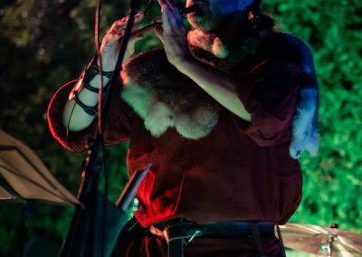Paddy Rovers in concerto a Malatesta a Fano, foto alta qualità Lula Merlo