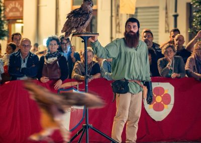 Spettacolo falconeria "Le Ali della Terra" foto Lula Merlo