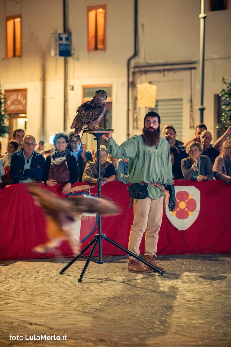 Spettacolo falconeria "Le Ali della Terra" foto Lula Merlo