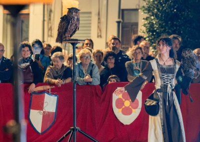 Spettacolo falconeria "Le Ali della Terra" foto Lula Merlo