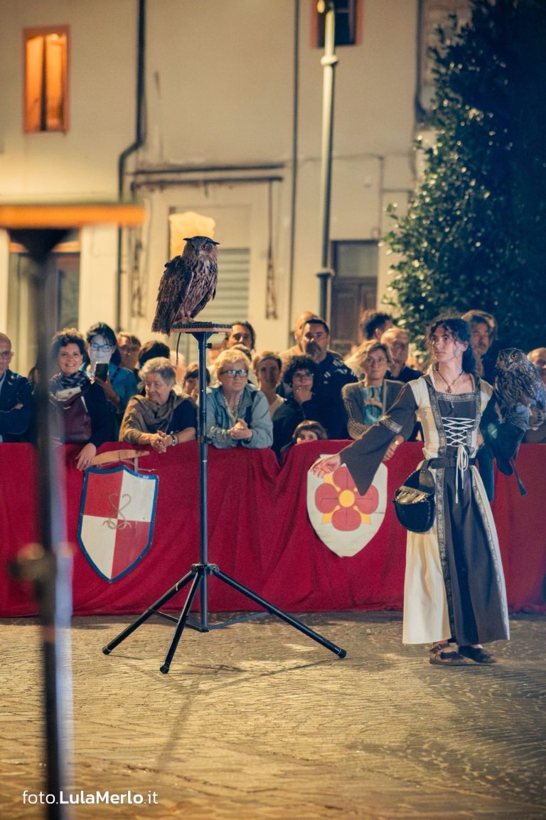 Spettacolo falconeria "Le Ali della Terra" foto Lula Merlo