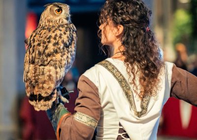 Spettacolo falconeria "Le Ali della Terra" foto Lula Merlo