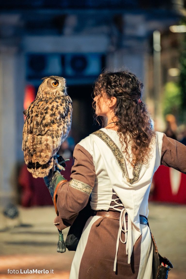 Spettacolo falconeria "Le Ali della Terra" foto Lula Merlo