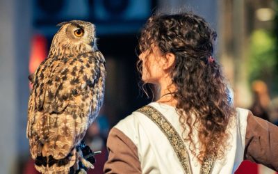 Falconeria “Le ali della terra” a Pergola Medioevale