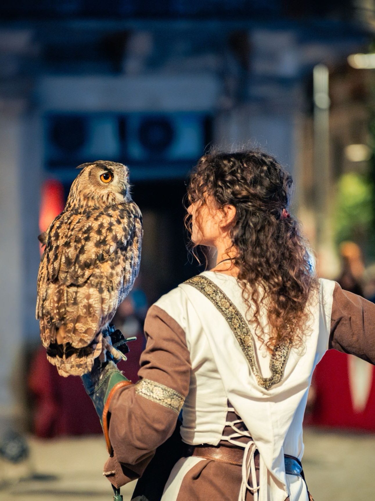 Falconeria “Le ali della terra” a Pergola Medioevale