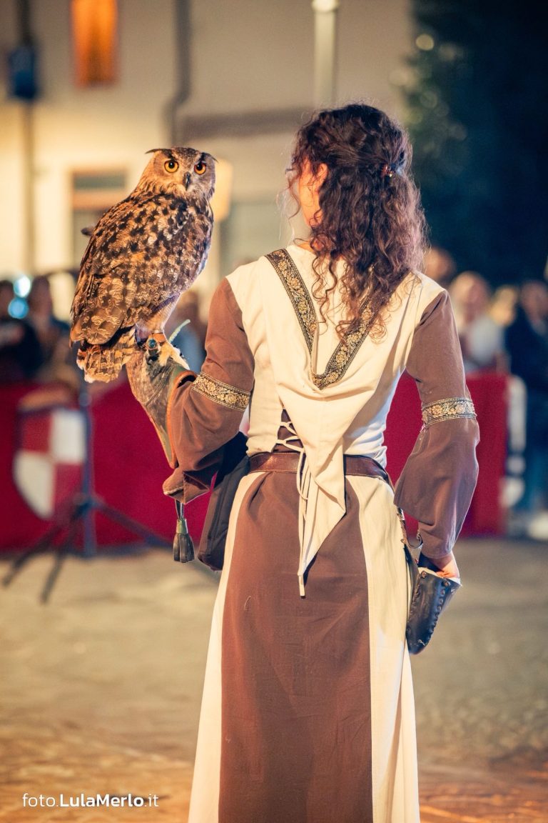 Spettacolo falconeria "Le Ali della Terra" foto Lula Merlo