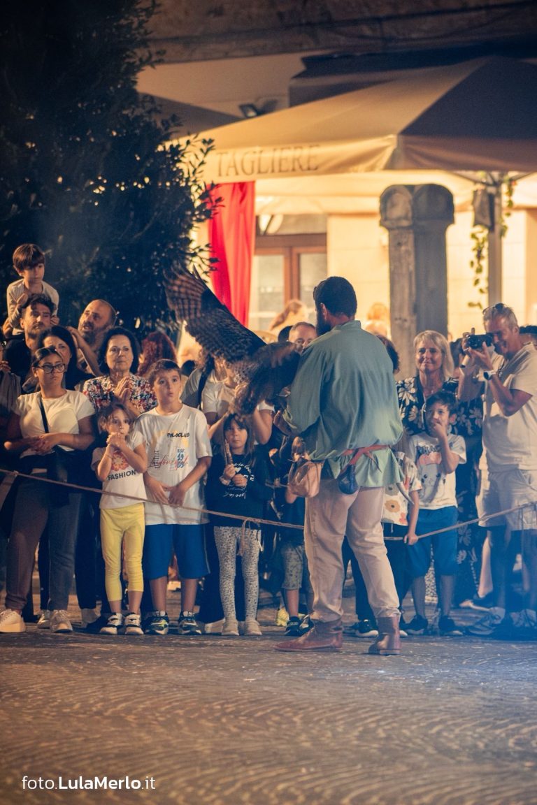 Spettacolo falconeria "Le Ali della Terra" foto Lula Merlo