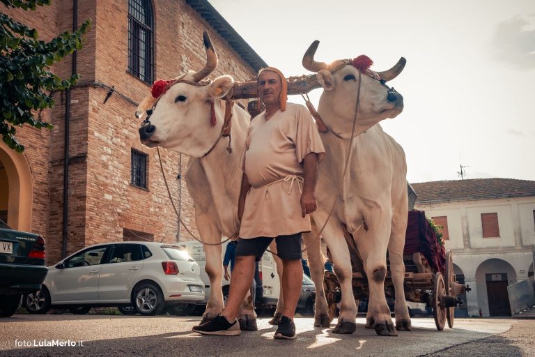 Pergola Medievale corteo storico foto Lula Merlo