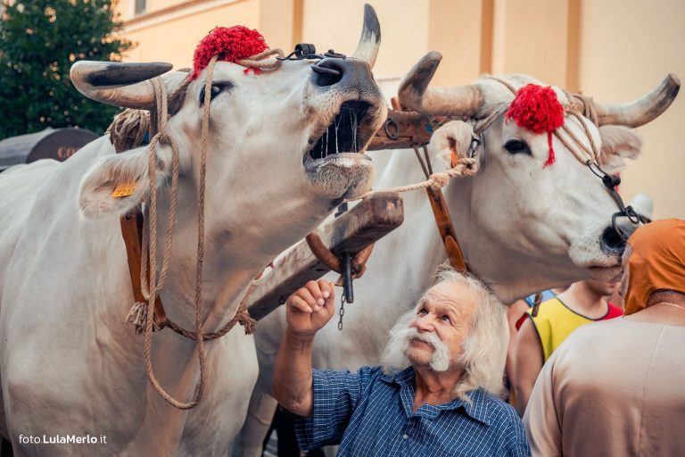 Pergola Medievale corteo storico foto Lula Merlo