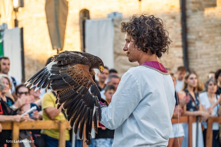 Spettacolo di falconeria de Le Ali della Terra a Mestieri e Mercanti – foto Lula Merlo