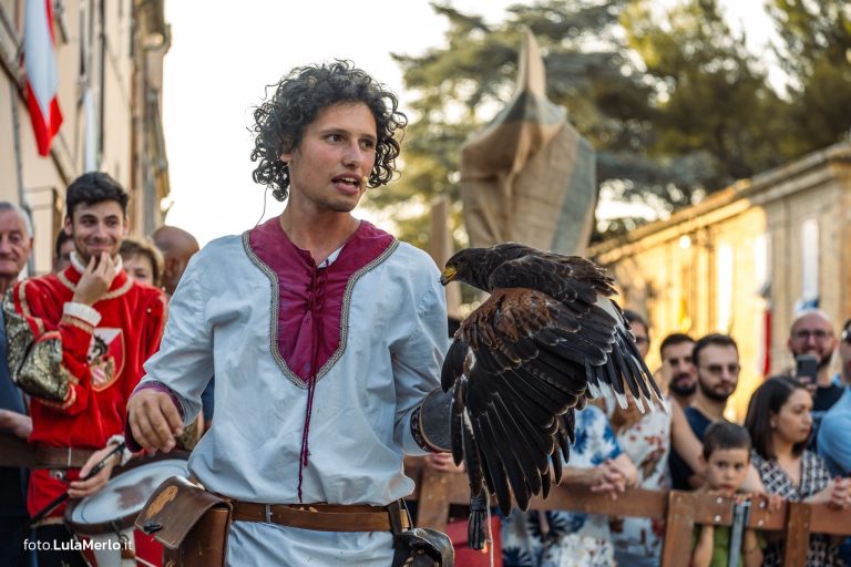 Spettacolo di falconeria de Le Ali della Terra a Mestieri e Mercanti – foto Lula Merlo
