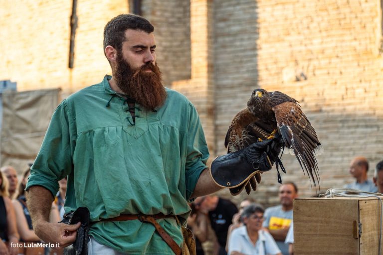 Spettacolo di falconeria de Le Ali della Terra a Mestieri e Mercanti – foto Lula Merlo