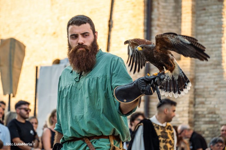 Spettacolo di falconeria de Le Ali della Terra a Mestieri e Mercanti – foto Lula Merlo