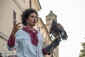 Spettacolo di falconeria de Le Ali della Terra a Mestieri e Mercanti – foto Lula Merlo