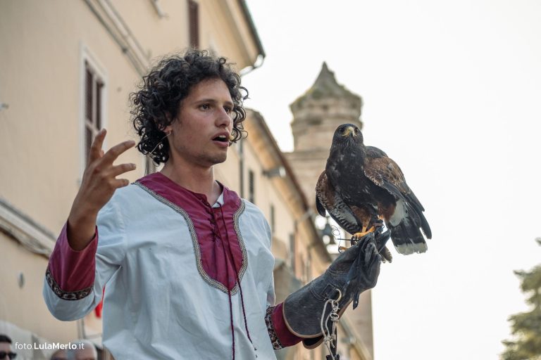 Spettacolo di falconeria de Le Ali della Terra a Mestieri e Mercanti – foto Lula Merlo