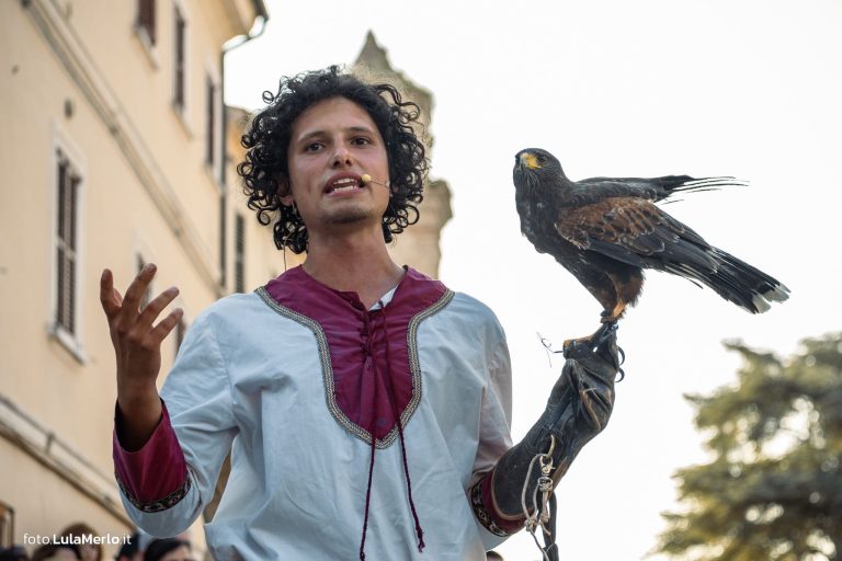 Spettacolo di falconeria de Le Ali della Terra a Mestieri e Mercanti – foto Lula Merlo