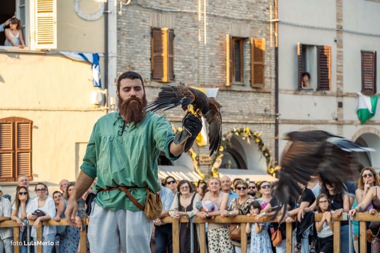 Spettacolo di falconeria de Le Ali della Terra a Mestieri e Mercanti – foto Lula Merlo