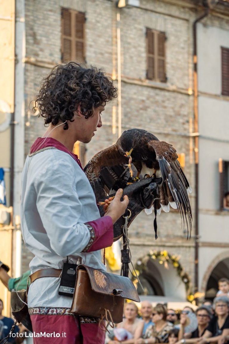 Spettacolo di falconeria de Le Ali della Terra a Mestieri e Mercanti – foto Lula Merlo