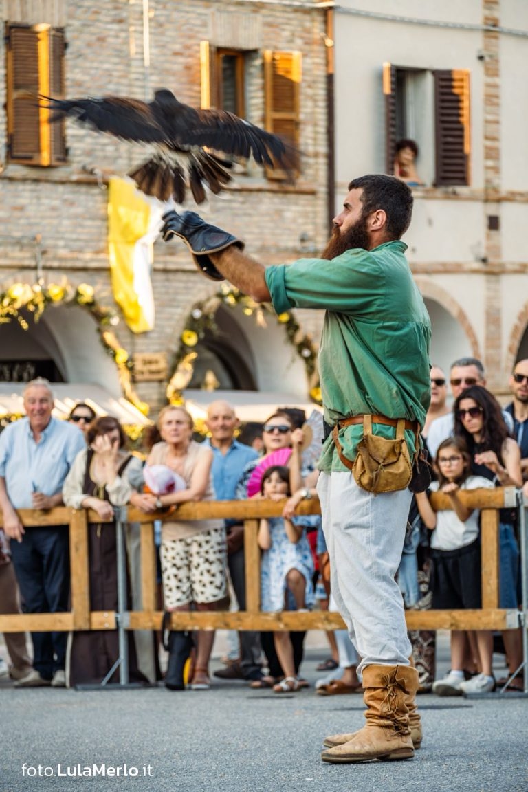 Spettacolo di falconeria de Le Ali della Terra a Mestieri e Mercanti – foto Lula Merlo