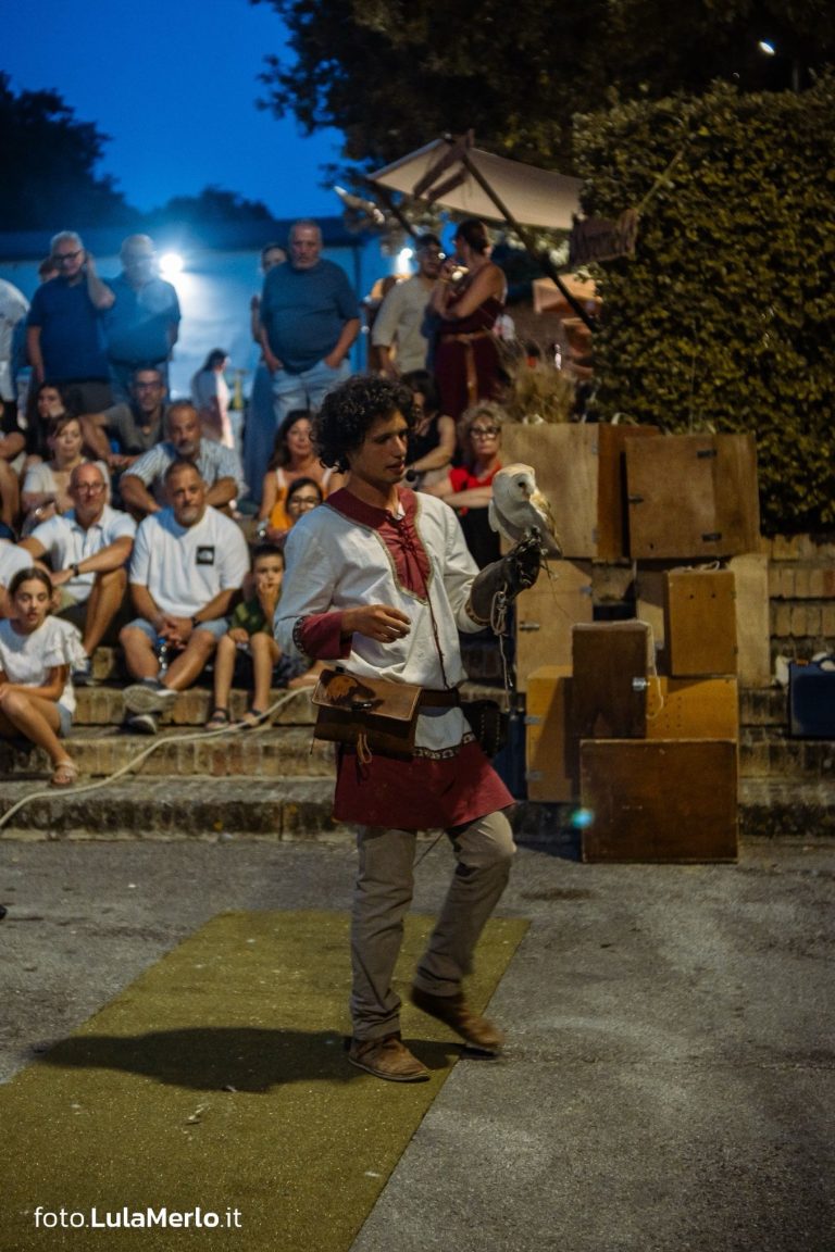 Spettacolo di falconeria de Le Ali della Terra a Mestieri e Mercanti – foto Lula Merlo