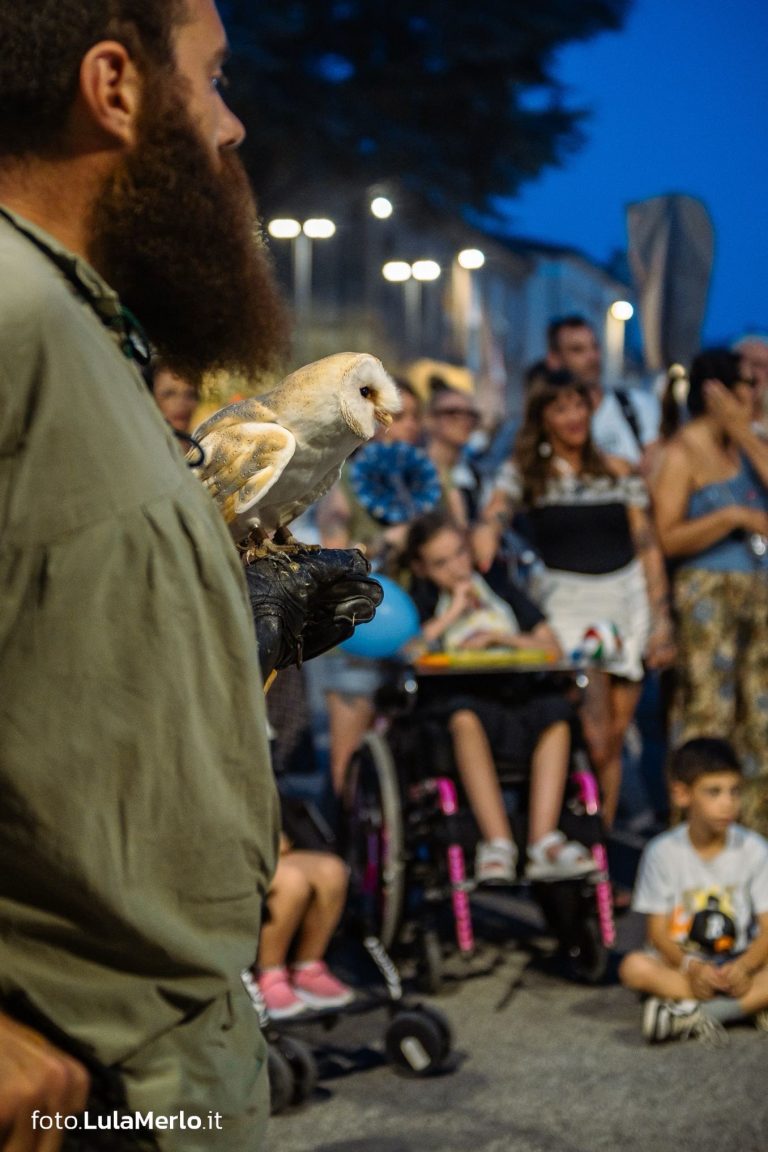 Spettacolo di falconeria de Le Ali della Terra a Mestieri e Mercanti – foto Lula Merlo