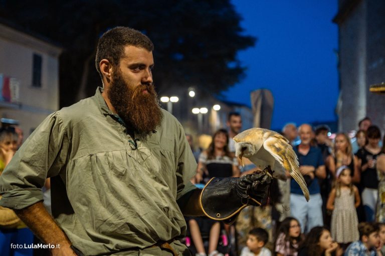 Spettacolo di falconeria de Le Ali della Terra a Mestieri e Mercanti – foto Lula Merlo
