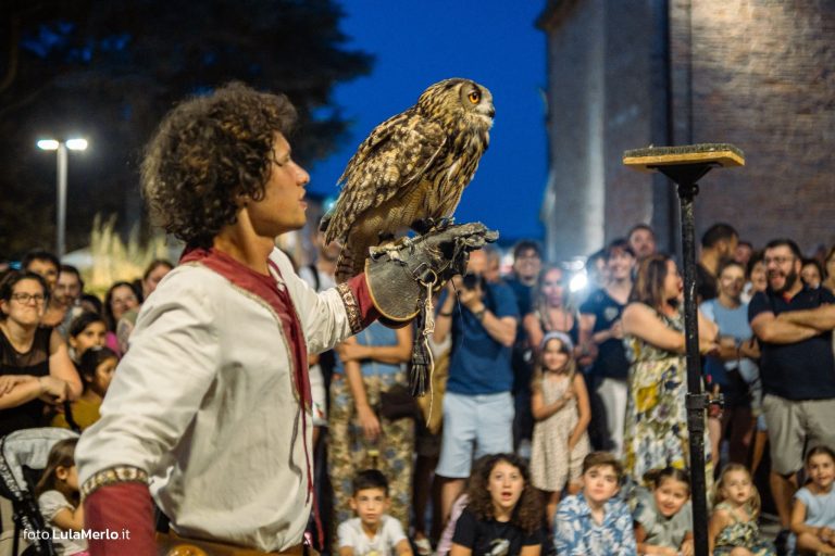 Spettacolo di falconeria de Le Ali della Terra a Mestieri e Mercanti – foto Lula Merlo
