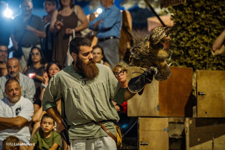 Spettacolo di falconeria de Le Ali della Terra a Mestieri e Mercanti – foto Lula Merlo