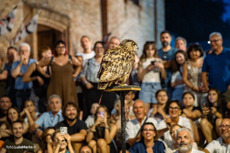 Spettacolo di falconeria de Le Ali della Terra a Mestieri e Mercanti – foto Lula Merlo