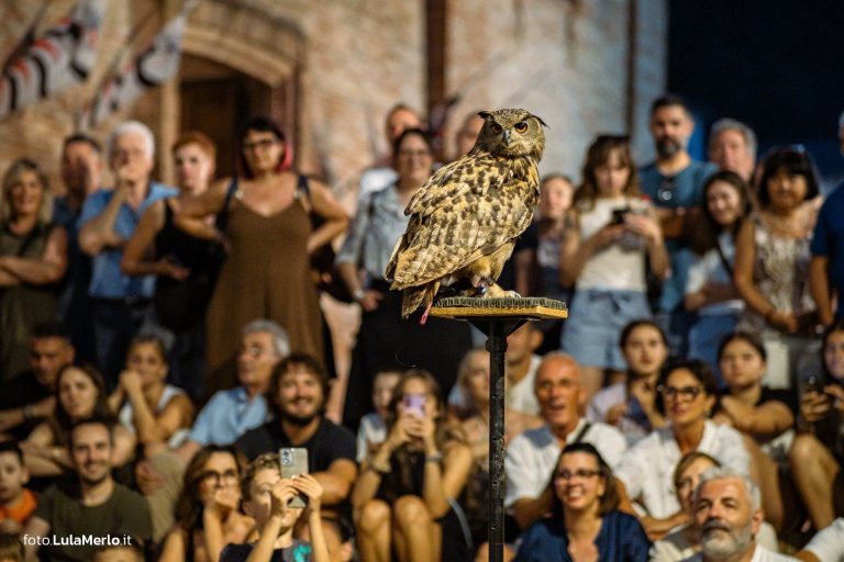 Spettacolo di falconeria de Le Ali della Terra a Mestieri e Mercanti – foto Lula Merlo