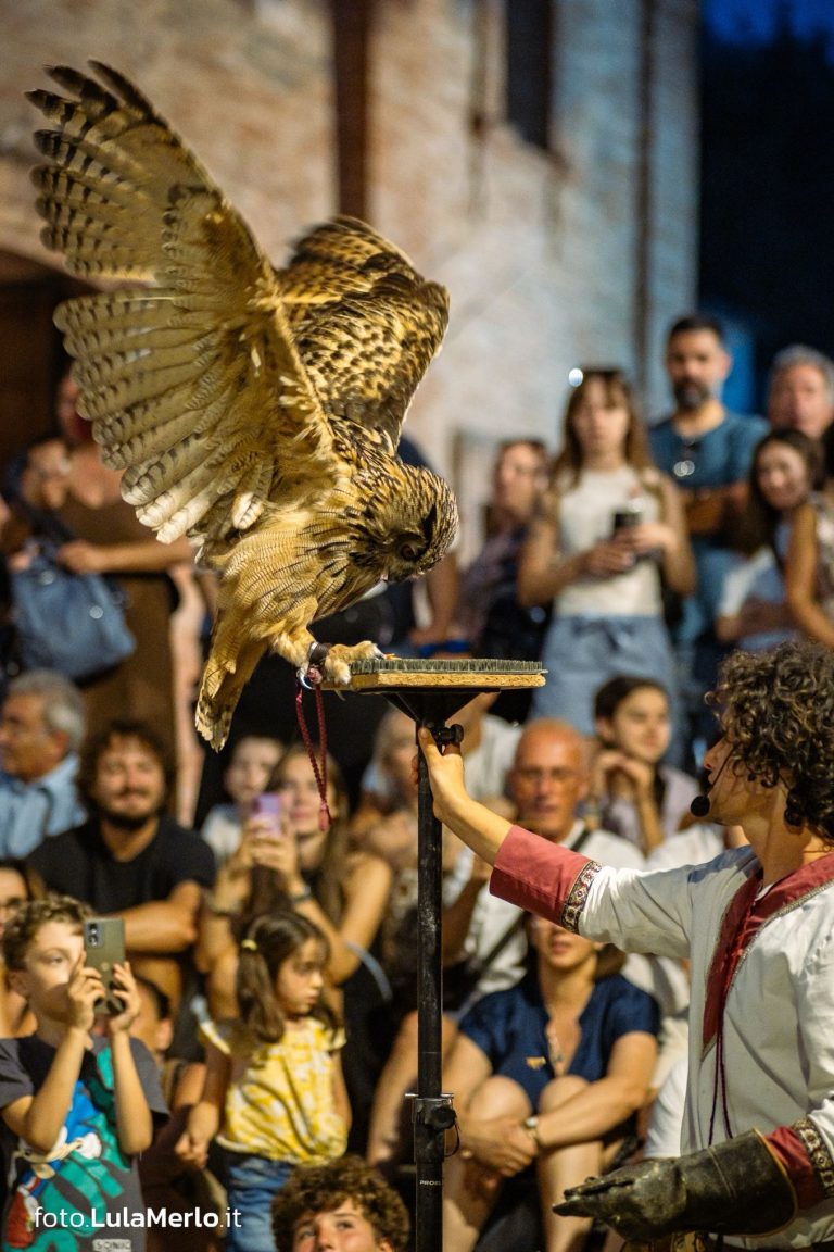 Spettacolo di falconeria de Le Ali della Terra a Mestieri e Mercanti – foto Lula Merlo