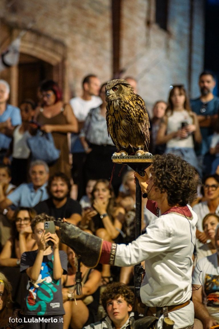 Spettacolo di falconeria de Le Ali della Terra a Mestieri e Mercanti – foto Lula Merlo